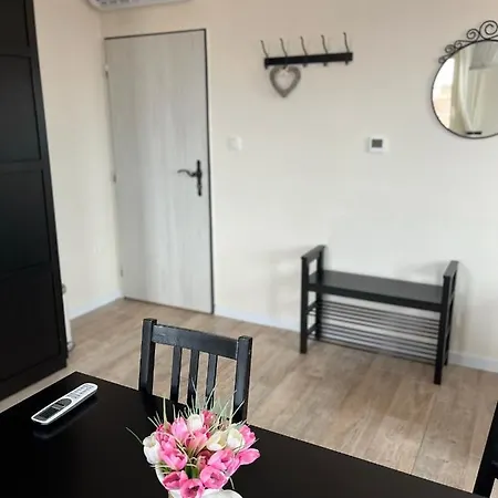 Jako Ze Skatulky Bořetice