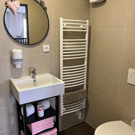 Maison d'hôtes Jako Ze Skatulky