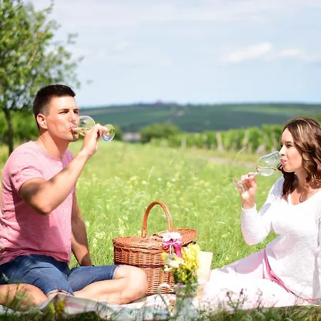 Pensjonat Jako Ze Skatulky